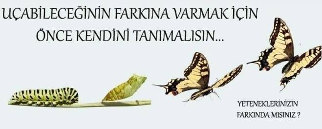 Uçabileceğinin Farkına Varmak İçin Önce Kendini Tanımalısın…