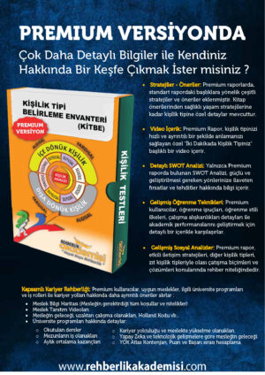 Kişilik Tipi Belirleme Envanteri (KİTBE) - Premium
